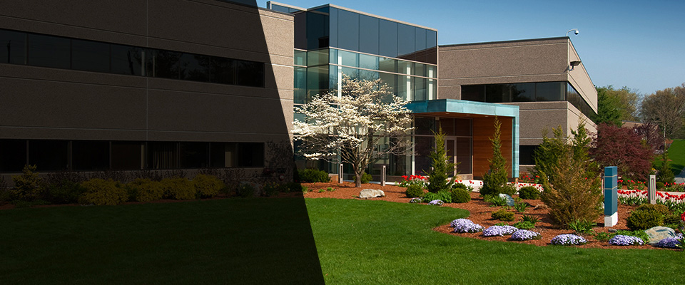 Amelia Court House Landscapers