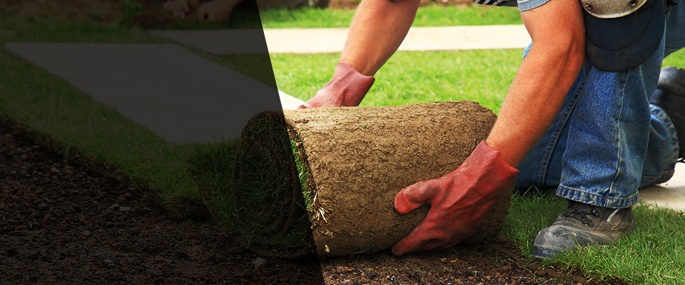 Amelia Court House Landscapers